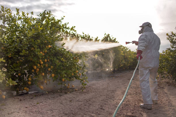 Bird Control in Quanah, TX