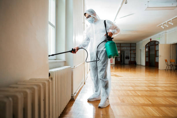 Best Flea Control Services  in Quanah, TX
