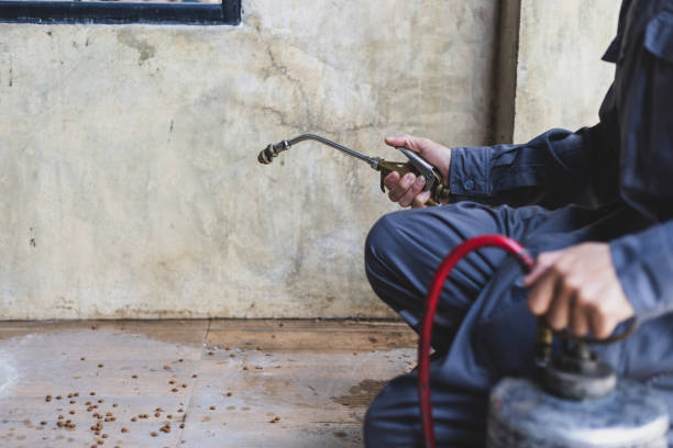 Best Commercial Pest Control Services  in Quanah, TX